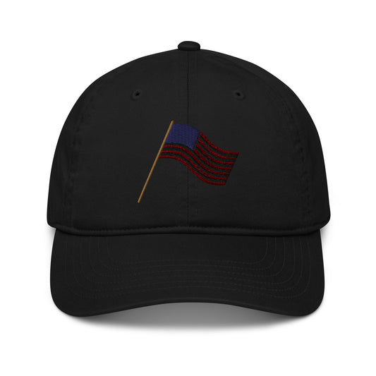Dark Victory Baseball Cap (organic)